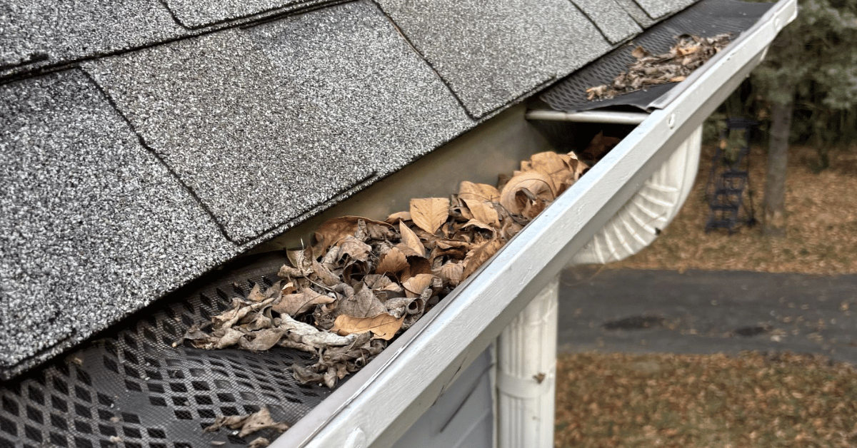 Gutter Cleaning
