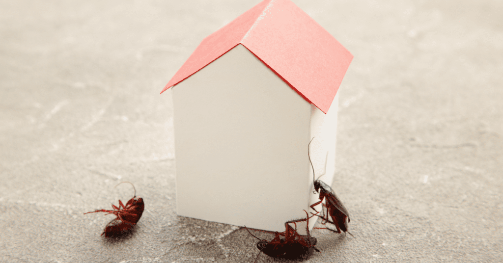 Prevents Pest Problems