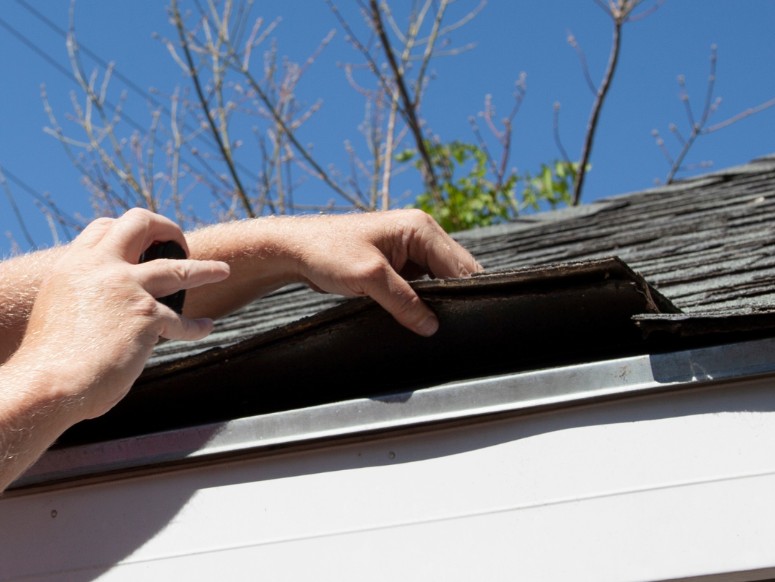 What to Expect from a Professional Roof Inspection