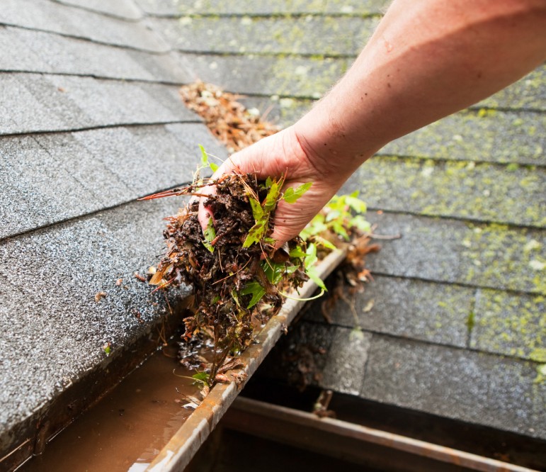 Why Cleaning Before Fall Matters